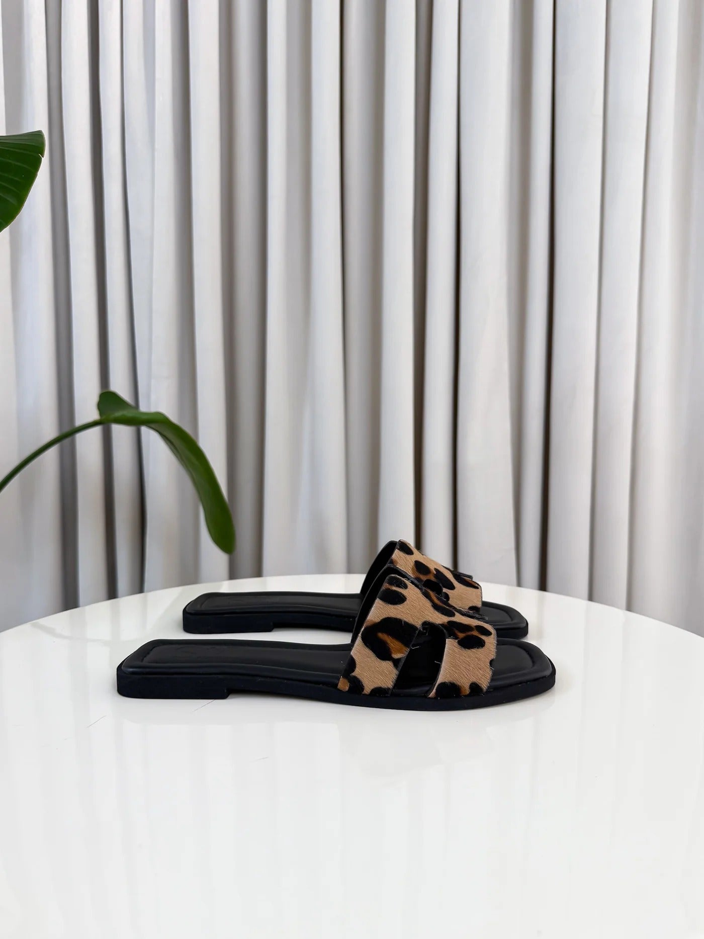 ARIS | LIMITED EDITION